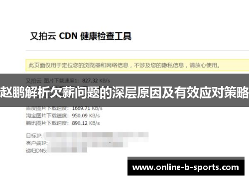 赵鹏解析欠薪问题的深层原因及有效应对策略
